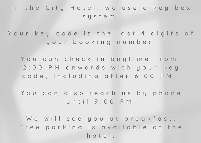 City Hotel فندق